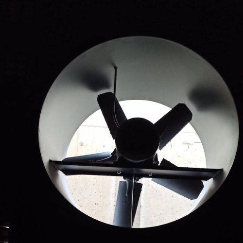 kubrat84-310125-7 kubrat84-310125-7